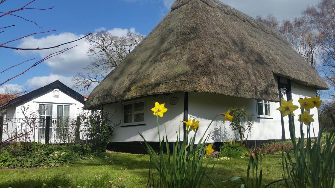 Frogs Hall B&B Eye  Esterno foto